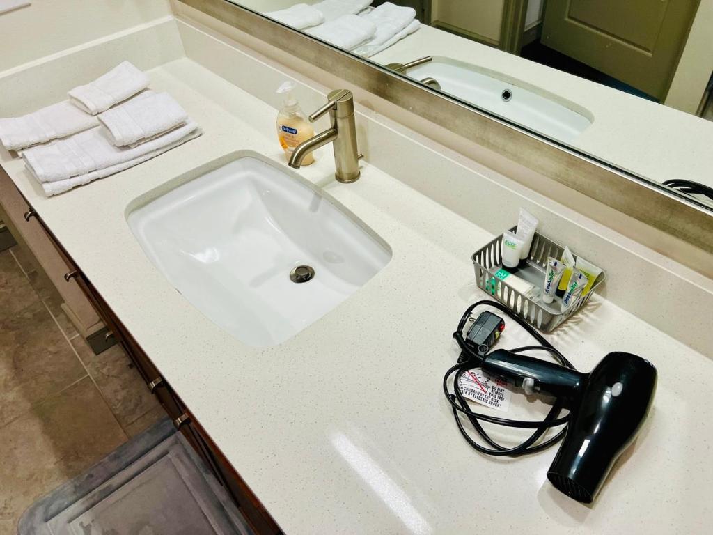 Downtown Apt Free Parking - Pool - Gym - Fully Kitchen Houston Eksteriør billede